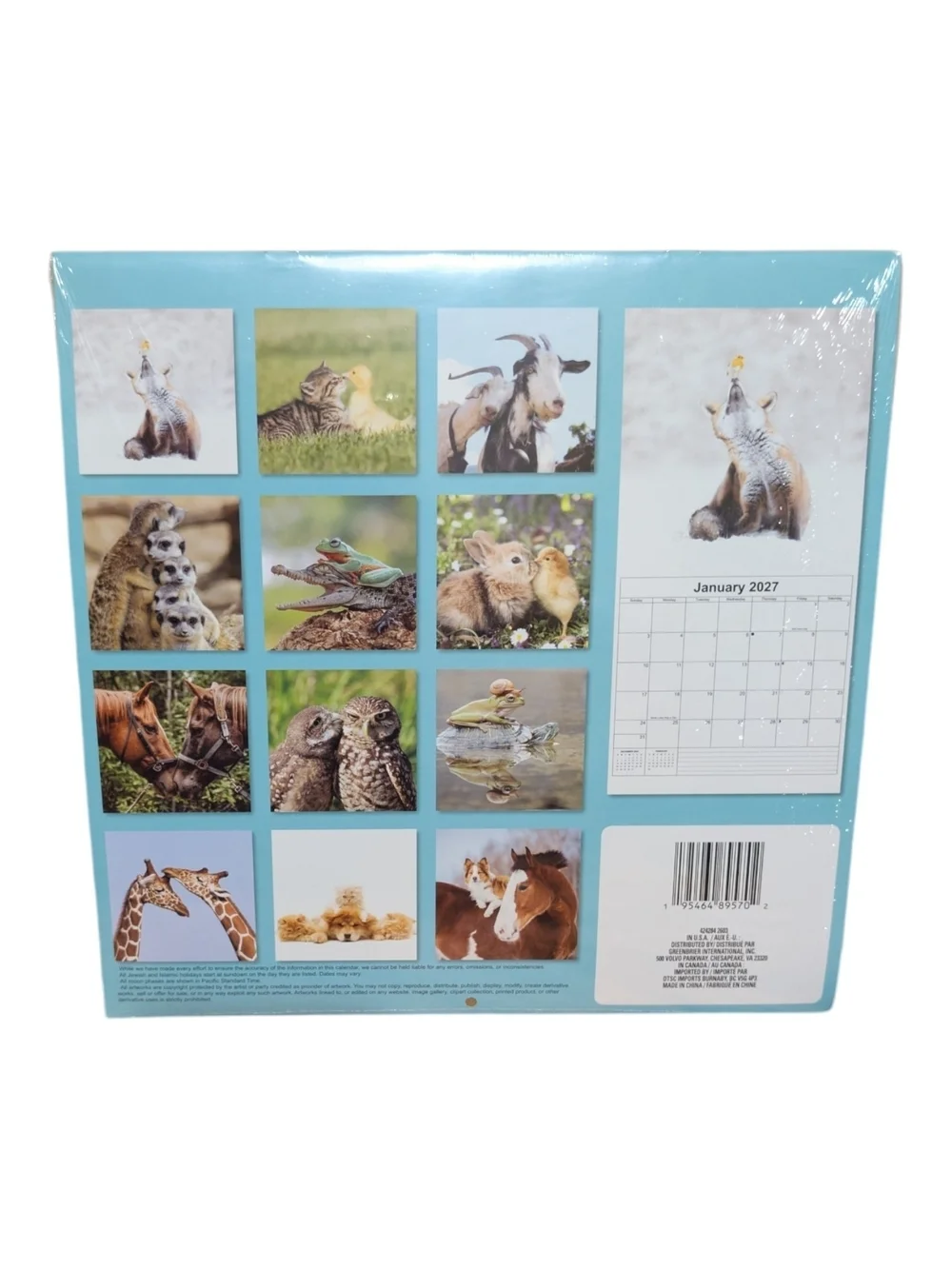 Buddies 2027 12-Month Animal Calendar